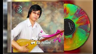 New Song Hazaragi Zia Sultani (Namo Hazaraya) Official | آهنگ هزارگي جديد ضيا سلطاني (نامو هزاريه)