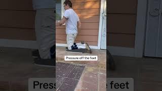 #another #day #at #the #office #painting #tileshop #pressure #off #feet #toeknee #crawler #kneeler