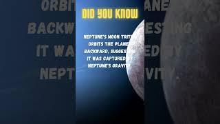 Did You Know This About Triton - Neptune's Moon?