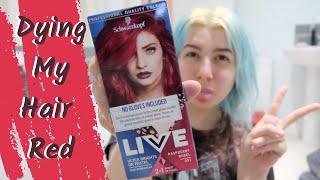 Dying My Hair Red With Live Colour Raspberry Rebel Hair Dye