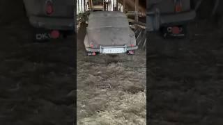 DKW Barn Find Rescue! Will it run?