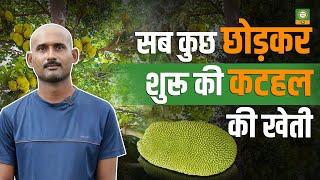 D.Pharma पढ़ाई के साथ शुरू की कटहल की खेती | नई किस्में और खासियत | Kisan Samvad TV #youtube #viral