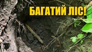 Нарешті нам пощастило! Пошук з металошукачем в Україні