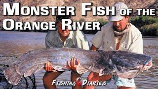 Fishing for Monster fish in the the lower Orange River, Southern Africa