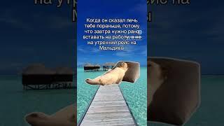 Тур на Мальдивы! Качественно и дёшево