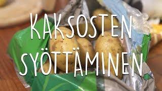 Kaksosten syöttäminen