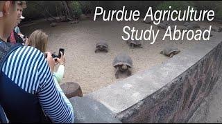 Purdue Agriculture Study Abroad