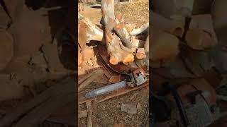 Bucking and Splitting Wood