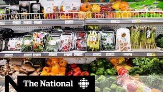 Health Canada's new food guide takes a radical overhaul