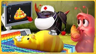 LARVA SEASON 6 EPISODE 215 ~ 320 | CARTOON FOR LIFE | CARTOON MOVIE NEW VERSION