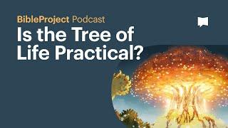 Is the Tree of Life Practical? - BibleProject Podcast