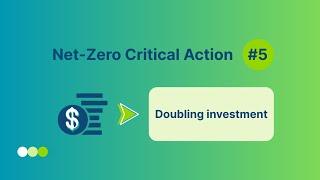 Critical action 5: Doubling investment in the transition