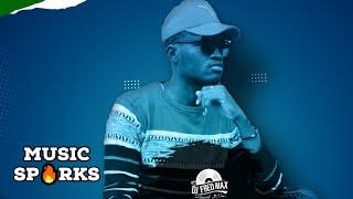 Salone Oldies Mix, Throwback by Dj Fred Max  | Sierra Leone Music 2000s  | Volume 9 | Music Sparks