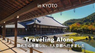 [Solo Travel] Seeking Solace for a Weary Soul | KYOTO vol.1 | Living Alone JAPAN Vlog