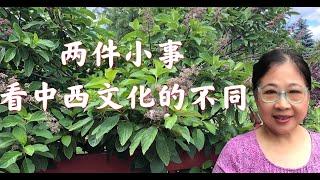 中西文化的不同 | 个人经历分享 |