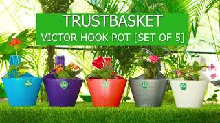 Victor Hook Pot (Set of 5 - Assorted colors) - TrustBasket