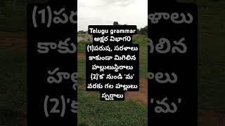 అక్షర విభాగం 1.పరుష, సరళాలు కాకుండా మిగిలిన హల్లులుస్థిరాలు(2.క' నుండి 'మ' వరకు గల హల్లులుస్పర్షాలు