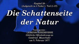 GOTTES WORT - Lebensgeheimnisse - DIE SCHATTENSEITE DER NATUR 1.Teil - Kap. 28 Gottfried Mayerhofer