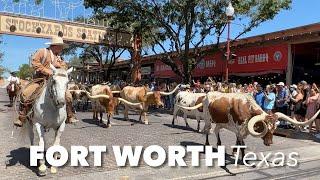 Things to do Fort Worth Stockyards Texas USA feat. Longhorn bull parade