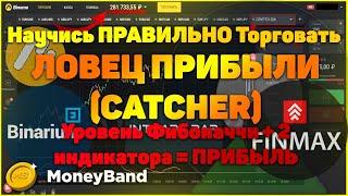 Стратегия "ЛОВЕЦ ПРИБЫЛИ" . Успей поймать свою прибыль. АМЕРИКАНСКАЯ СТРАТЕГИЯ "CATCHER". Опционы.