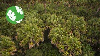 Conserving the Southmost Tip of Texas