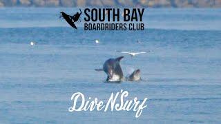 South Bay Boardriders - Dive N' Surf