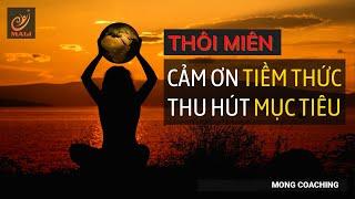 CÁM ƠN TIỀM THỨC | THU HÚT MỤC TIÊU