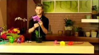 Syndicate Studios - How-To & Style Webisode