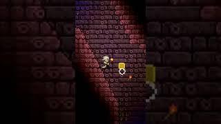 #shorts | ПОН В ТЕРРАРИИ | #ПОН #террария #terraria #мем