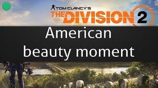 American beauty moment: The Division 2