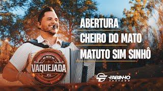 ABERTURA / CHEIRO DO MATO / MATUTO SIM SINHÔ - Fabinho Testado (DVD No Meio da Vaquejada)