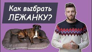 Как выбрать лежак для собаки