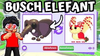 WIR TRADEN BUSCH ELEFANTEN in ADOPT ME! | Roblox Deutsch