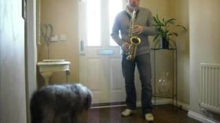 And I Love Her (Cover) by Paul McCartney played on Alto sax by Rob Shearer