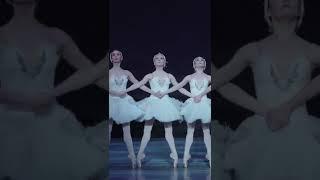 Swan Lake Moments: Dance of the Cygnets