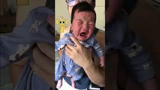 Sprunki Retake Theme but it's my Baby's Cry (Bailey)