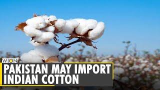 Pakistan: Cotton yarn shortage may lead to import from India | Cotton Trade | Latest English News