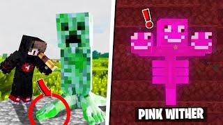 14 Minecraft Secrets  | Minecraft Video