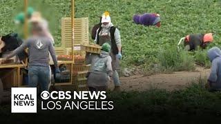 Concern from migrant farm workers about ICE raids