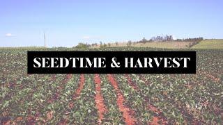 Principle of Seedtime and Harvest