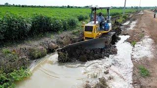 Bad Day !! Dump Truck Got Failed Into Canal Recovered by Crane Truck | Skill Recovery by Crane Truck