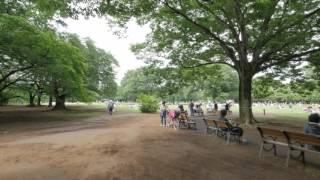 Videowalk in Yoyogi park