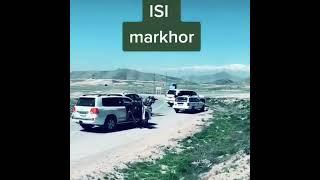 PAK ISI live Action | Pak Army Clips | Pak Army video