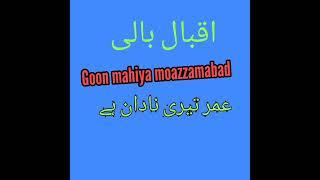 Muhammad iqbal bali goon mahiya jani group moazzamabad 03417825040