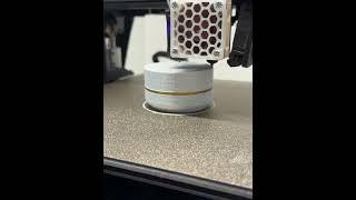 Testing a Two-Color Print on My Single-Color Printer!  #3DPrinting