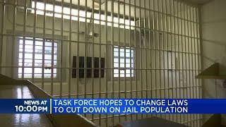 Local sheriff hopes jail reform helps ease crowding in county lockup