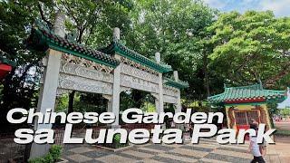 Chinese Garden sa luneta Park Update 2024