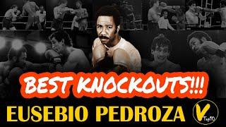 5 Eusebio Pedroza Greatest Knockouts