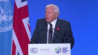 David Attenborough calls on COP26 to 'kickstart recovery'