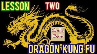 dragon kung fu for beginners with unique way /full body workout while learning dragon kung fu